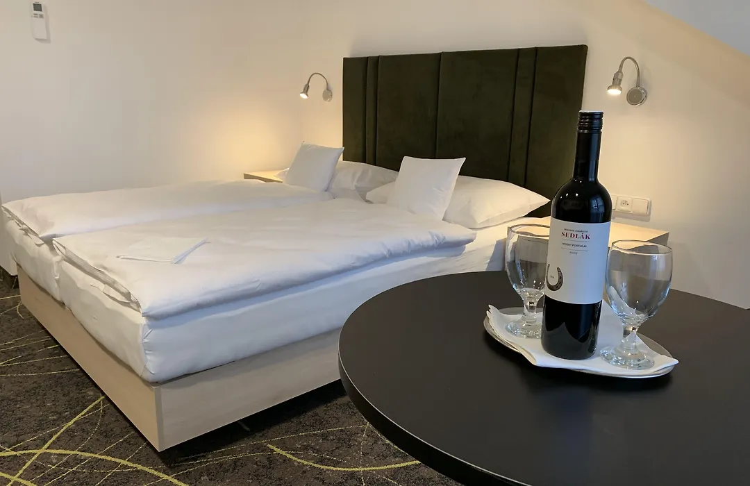 Hotel Valcha-1